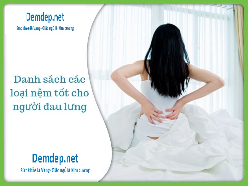 Đệm cho người đau lưng - Demdep.net